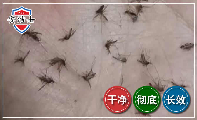 临高蚊子防治-灭蚊
