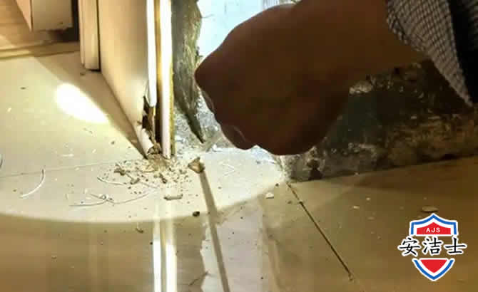 临高房屋建筑防治白蚁