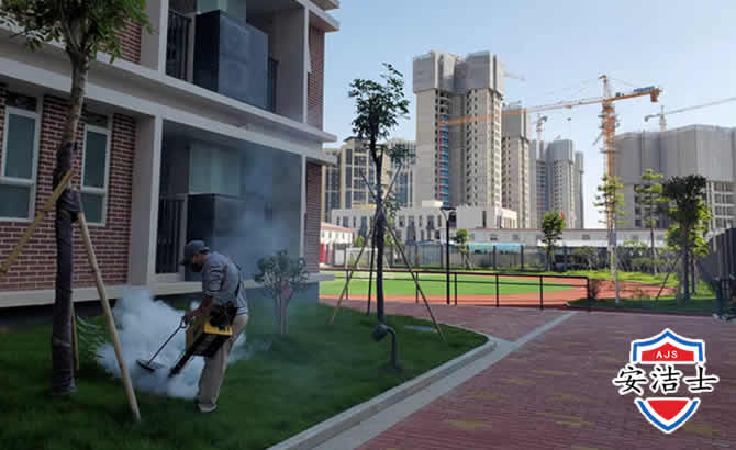 临高工厂工地除白蚁