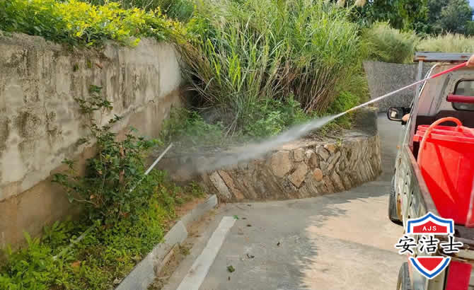 临高道路堤坝白蚁防治