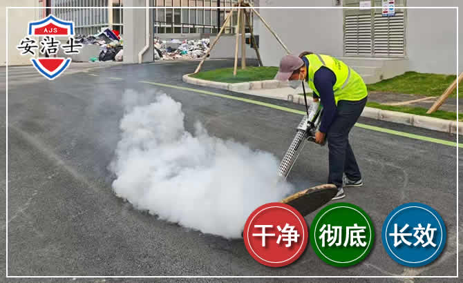 临高消杀防疫现场