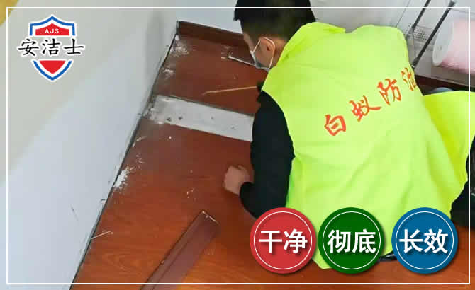 临高除四害现场