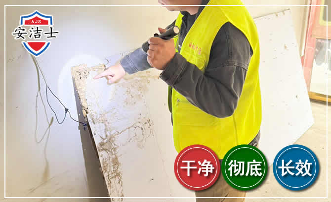 临高除白蚁现场