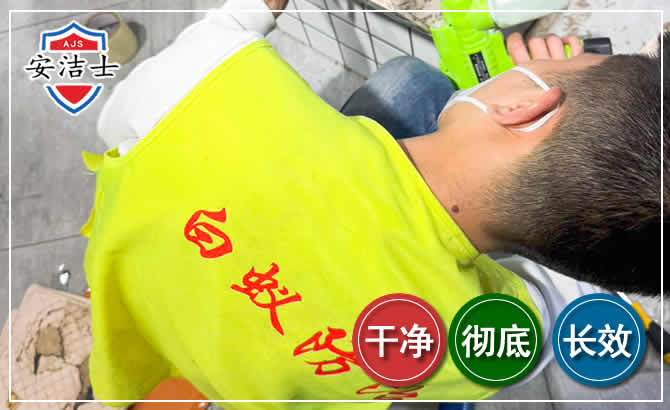 临高白蚁根治现场